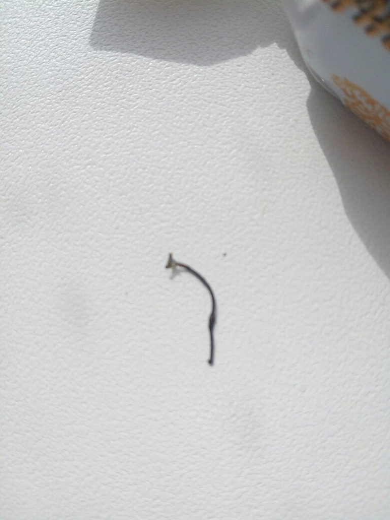 Изображение к жалобе