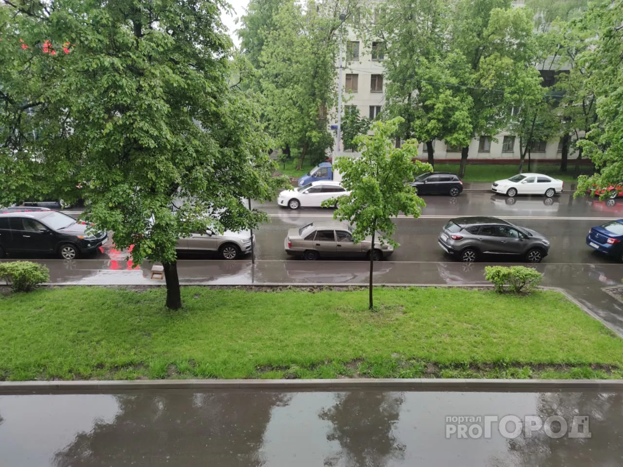 Фото к статье: Дождь или солнце? Какая погода ждет в воскресенье