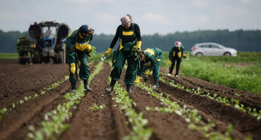 Фото к статье: Как решить проблему с подготовкой специалистов для АПК?