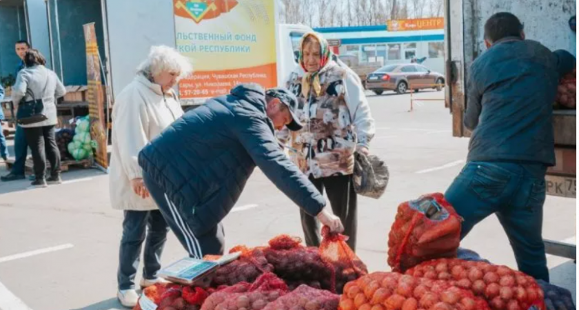Где в Чебоксарах откроются ярмарки с фермерскими овощами 