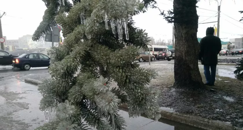 Фото к статье: В среду Чувашию вновь накроют затяжные дожди