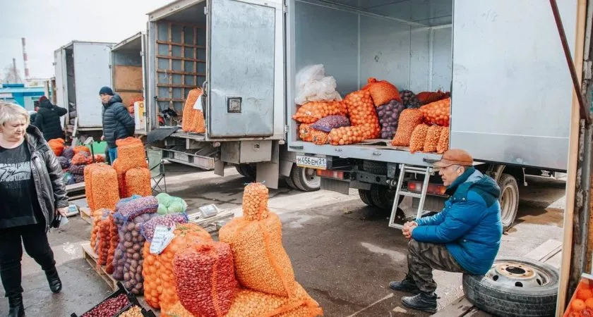 Фото к статье: Как отличаются цены на овощи в магазинах и на ярмарках в Чувашии