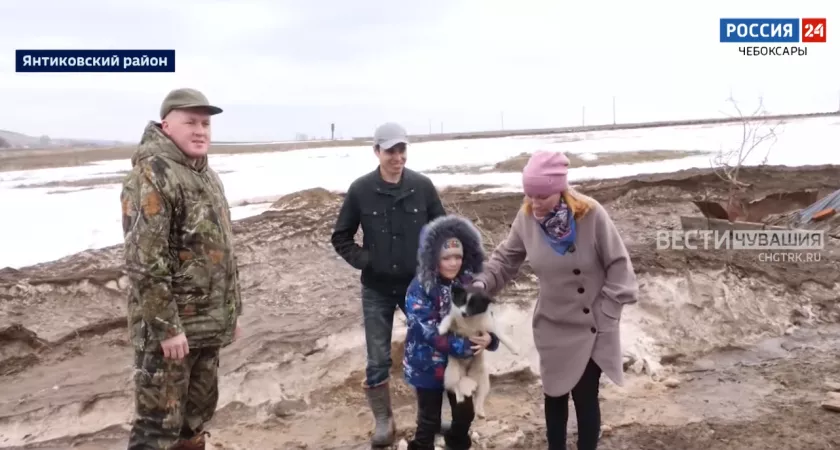 Фото к статье: Спасшийся от потока воды Шарик оказался "девочкой": как живет звезда интернета сейчас