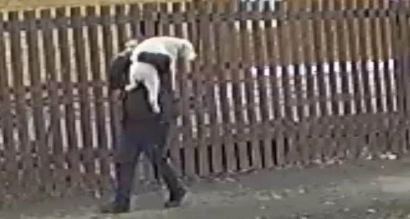 Фото к статье: Мужчина своровал трехмесячного породистого щенка со двора хозяина