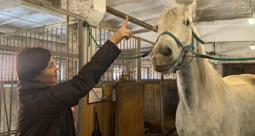 Инструктор по верховой езде: почему лошадь кусается и за что может лягнуть 