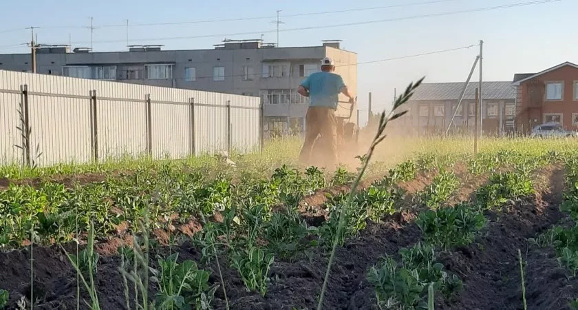 Фото к статье: Выплату на строительство жилья в селе смогут получить больше жителей Чувашии