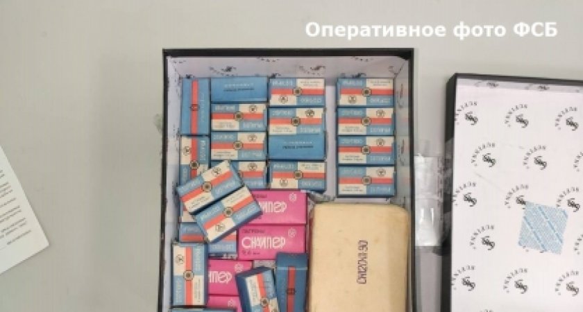 Житель Янтиковского района незаконно запасся боеприпасами для огнестрельного оружия