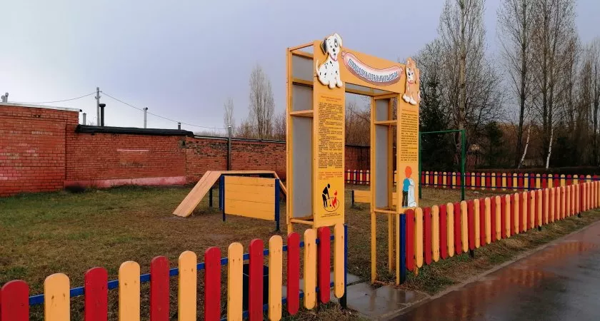 Фото к статье: Где в Чебоксарах есть оборудованные площадки для выгула собак