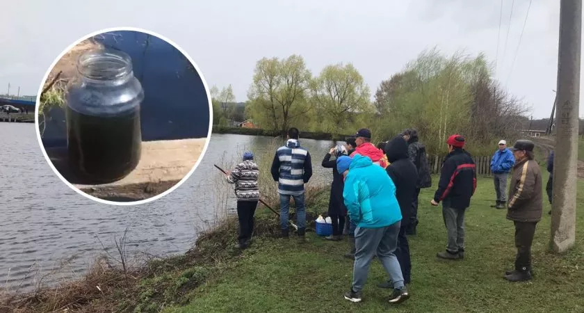 Фото к статье: В Ибресинском районе почернело озеро и умерла рыба
