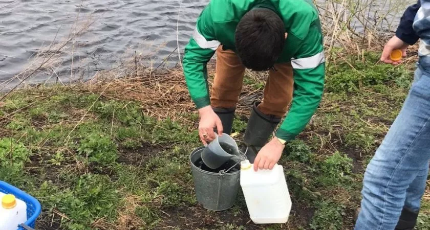 Фото к статье: Почему в Ибресинском районе почернело озеро, погибла рыба и пахло кислым молоком