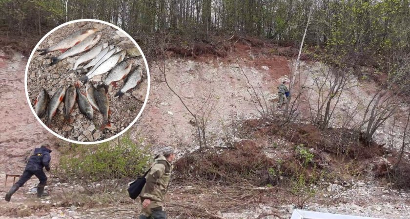На чувашских браконьеров устроили облаву: бежали, бросая рыбу и снасти