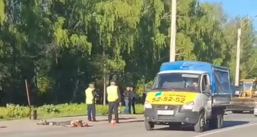 Фото к статье: В Новочебоксарске маршрутка насмерть сбила дорожного рабочего