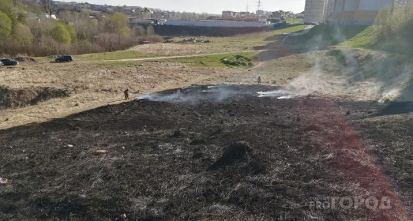 Фото к статье: В Чувашии в 10 раз увеличили штрафы за пал сухой травы