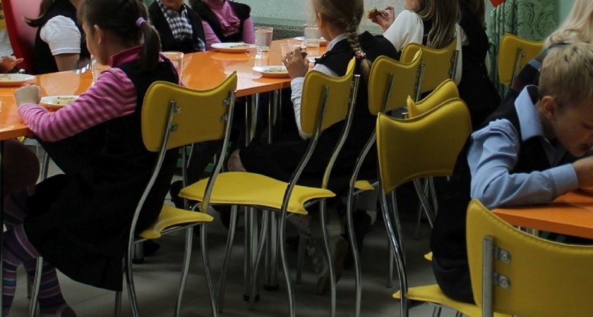 В чувашских школах находят испорченные и опасные продукты для детских обедов