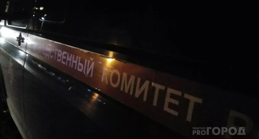 Фото к статье: Житель Чувашии хотел за деньги переспать с соседскими школьницами