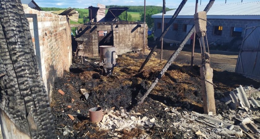 В чувашской деревне в пожаре сгорели 20 коров, дом и другие постройки