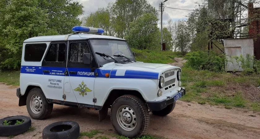 Фото к статье: Житель Чувашии создал дома тайник с пятитысячными купюрами, но деньги исчезли