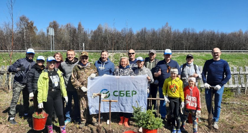 Более 4 тысяч га леса посадили волонтеры Волго-Вятского банка Сбербанка