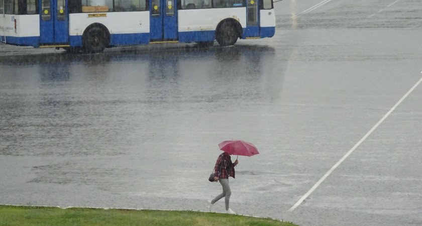 В ближайшие сутки в Чувашии ожидается гроза, сильный дождь и ветер