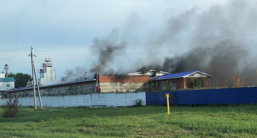 В Чебоксарском районе полыхает ферма