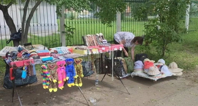 Фото к статье: Чебоксарские чиновники ловили торговцев трусами, молока и ягод
