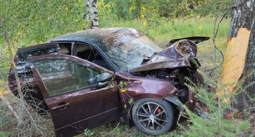 В Чувашии водитель "Лады Гранты" врезался в дерево и погиб