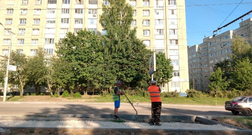 Шумные соседи, осы, поборы: с какими проблемами столкнулись жители Чувашии в августе