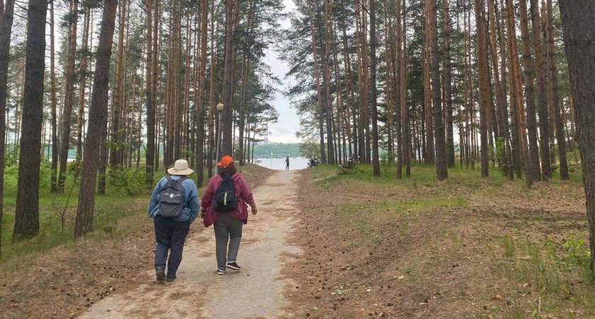 Какая погода ждет жителей Чувашии в понедельник