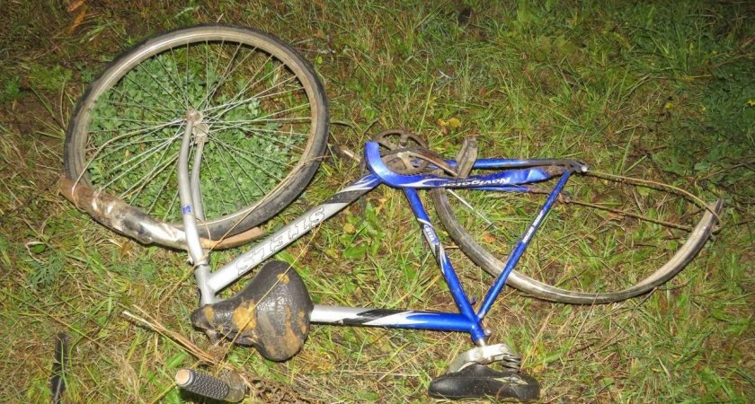 За полчаса в Чувашии насмерть сбили двух женщин