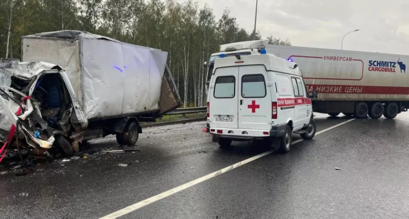 Фото к статье: В Козловском районе водитель фуры устроил смертельное ДТП: погиб один человек