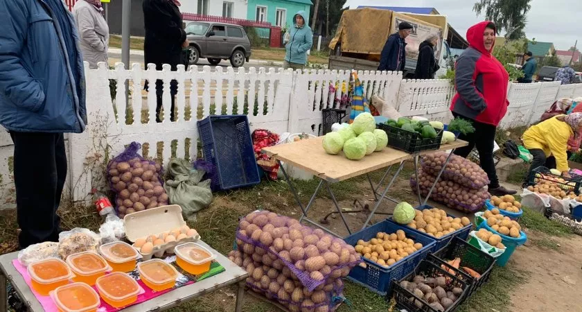 Фото к статье: В Чувашии поставят новые мини-рынки, чтобы овощи не продавались с земли