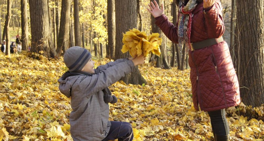 Звезды сулят Львам любовь и отношения, а Рыб окружат сильными страстями