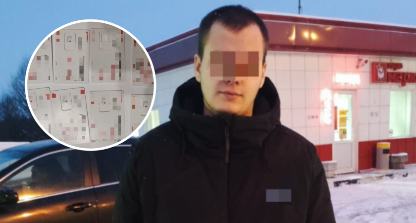 В Питере нашли мошенника, который обманул педагога из Новочебоксарска