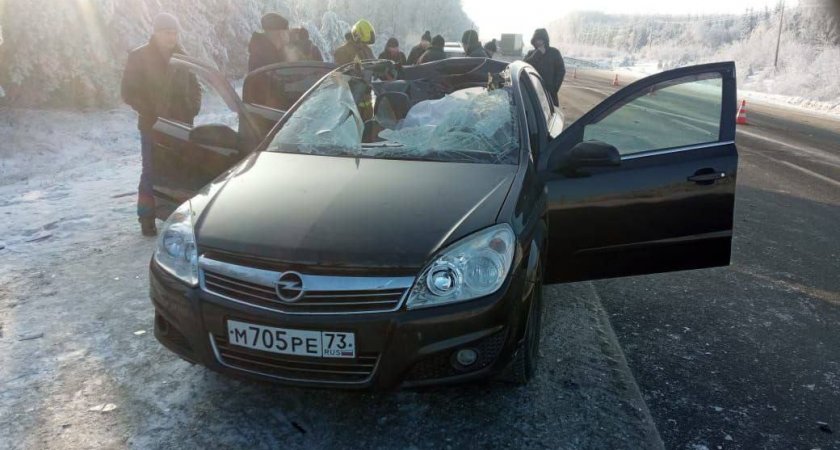 В Батыревском районе у КамАЗа отлетело колесо и влетело в легковушку: погиб человек