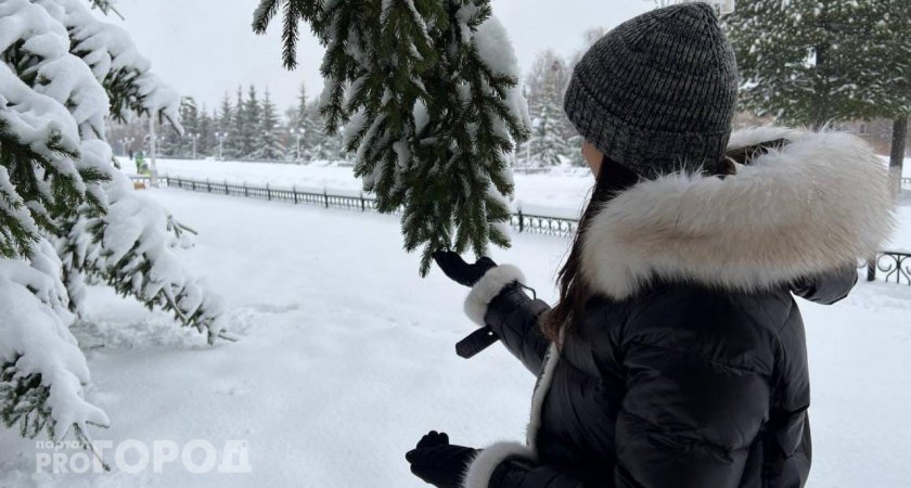 Температурные качели сменят метели в Чувашии