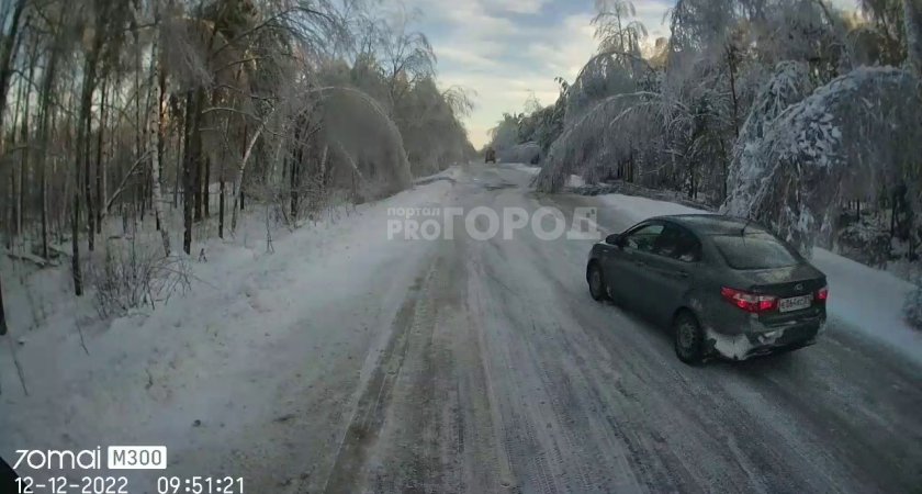 В Чувашии дорогу между районами завалило березами: "Квест - доехать до Ибресь"