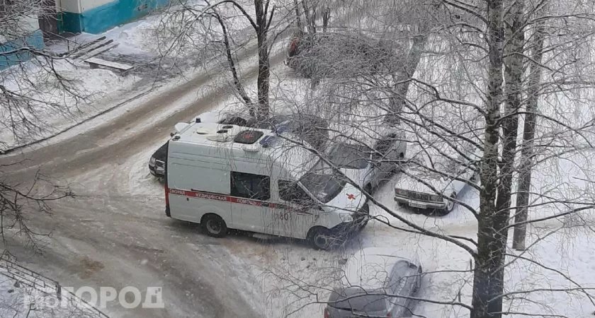 Фото к статье: Овчарка напала на жительницу Чувашии и покалечила ей лицо