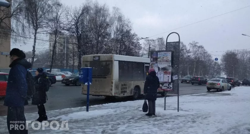 Фото к статье: Дождливый декабрь в Чувашии окончательно превратится в оттепель