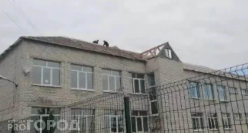 Фото к статье: Предприниматель взялся за ремонт школы в Чувашии, но лишь платит штрафы