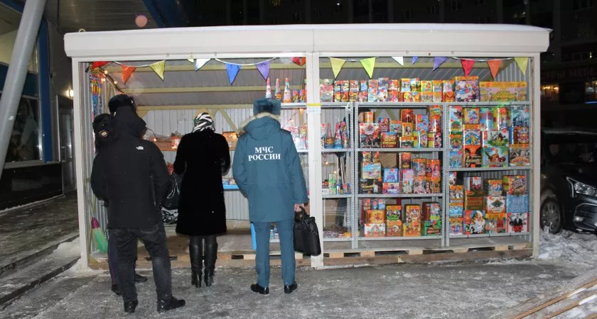 Фото к статье: В Чебоксарах нашли нелегальные торговые точки по продаже фейерверков, еловых веток и рыбы