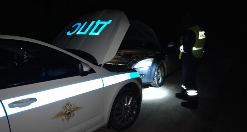 В Чувашии полицейские спасли от холода беременную автоледи и ее пассажиров