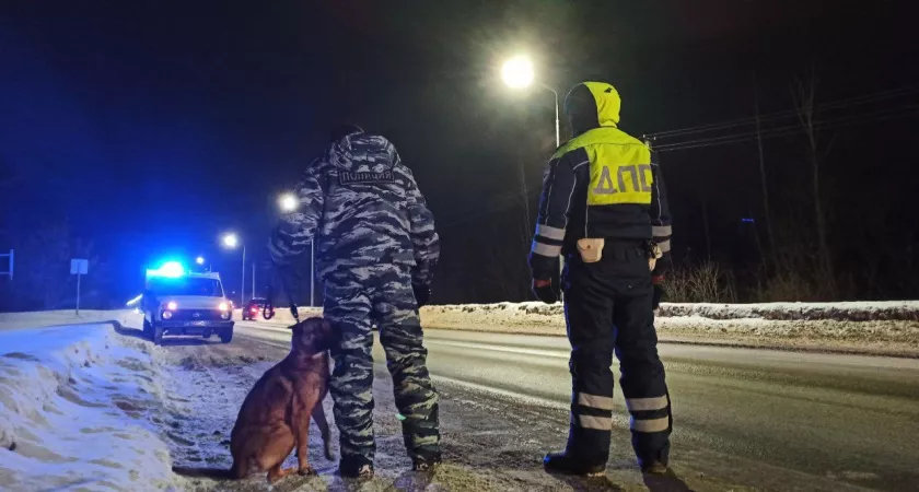 Фото к статье: Облава на водителей в Чувашии продолжается: задержали более 40 человек