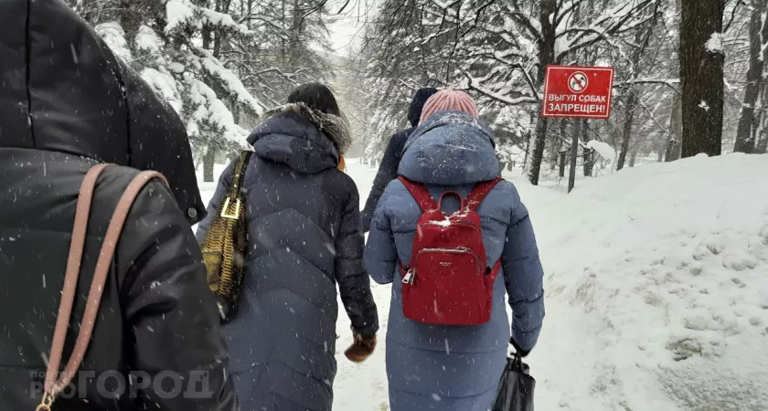 Фото к статье: Метель поднимется в Чувашии в первый день весны