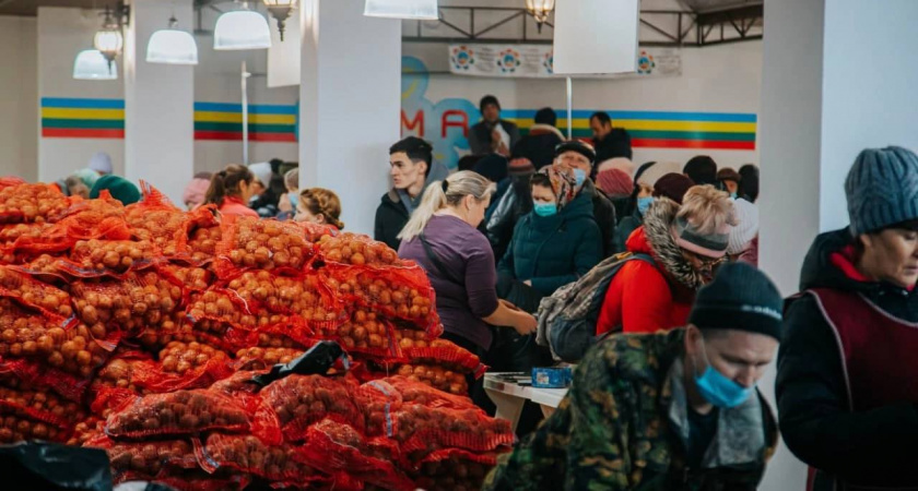 Картофельная выставка соберет длинные очереди в Чебоксарах
