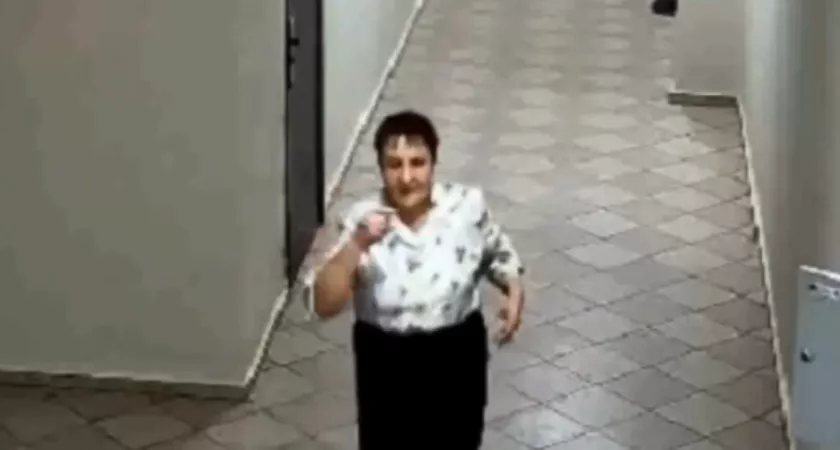 Фото к статье: Полиция в Чебоксарах ищет попавшую в объектив камеры женщину