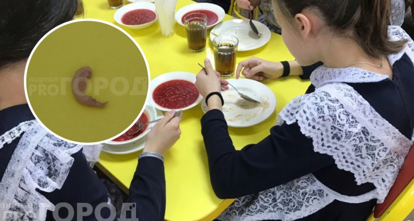 Новочебоксарские школьники нашли личинку в еде, но руководство назвало это инсценировкой