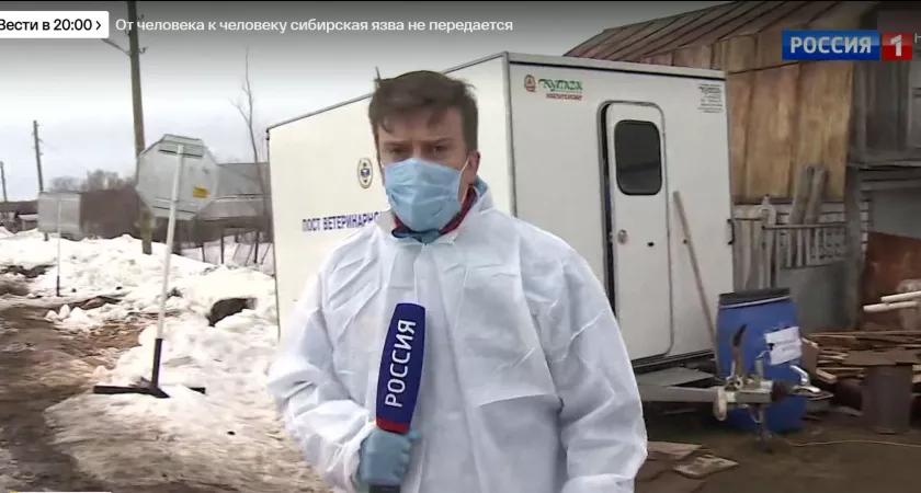 Фото к статье: Федеральные СМИ показали сюжет о карантине по сибирской язве в цивильской деревне