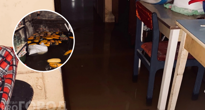 В Чебоксарском районе талая вода затопила частный дом: "Поток шел из леса"
