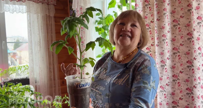 Фото к статье: Жительница Чувашии назвала 10 лучших сортов помидоров: "В этом году выращу 150 видов"