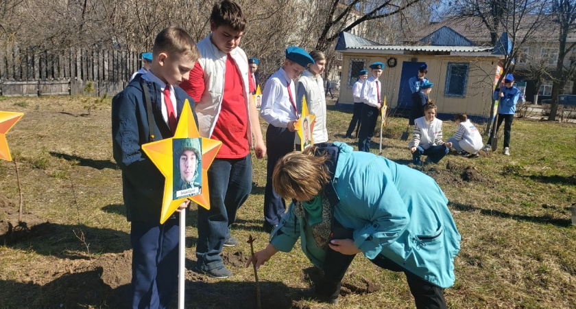 Шумерлинцы высадили аллею каштанов в память о бойцах, погибших на СВО